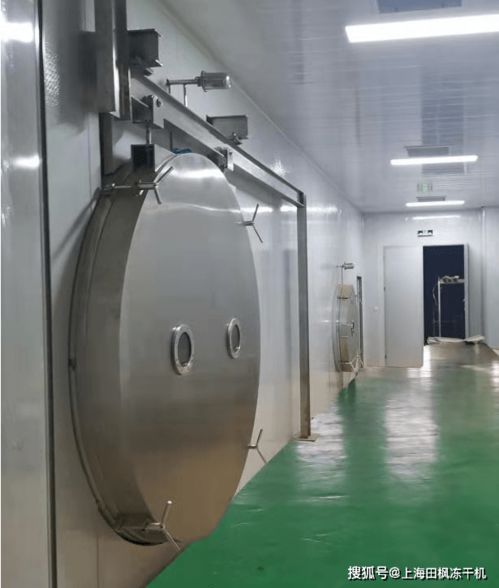 果蔬冷冻干燥生产线投资建设与技术开发的核心要素